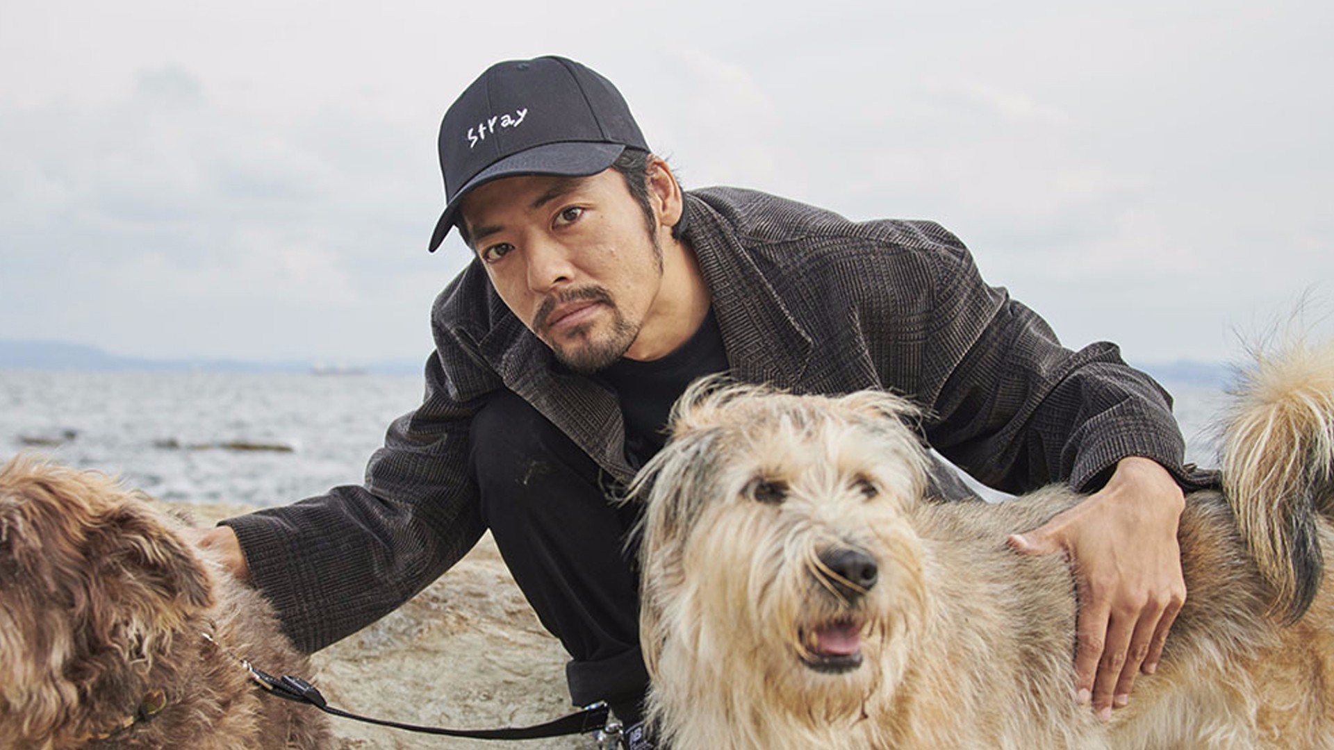 湘南が遠くなっていく