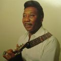 Muddy Waters、Essential Classics