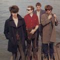 Echo & the Bunnymen