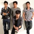 Callalily