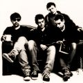 Lightning Seeds