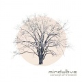 Mindwave、Multiphase