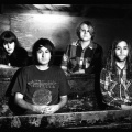 Ty Segall Band、Ty Segall