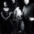 String Trio of New York、regina carter