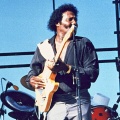 albert collins