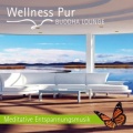 Wellness Pur、Zenology、Om Meditation Music Academy
