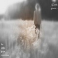 The Nikki Grace Experience、Lotte Kestner