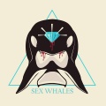 Sex Whales、Roee Yeger、Drama B