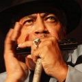 Billy Branch、charlie musselwhite、james cotton、Sugar Ray Norcia