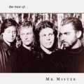 Mr. Mister