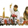 The Pooh Sticks、Various Artists