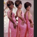 the velvelettes