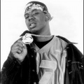 Soulja Slim、Juvenile