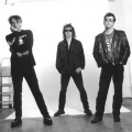 the vibrators