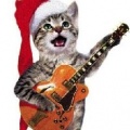 Jingle Cats、Stereophonic Therapy、Binaural Delta Beats Sleep