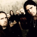 Scar Symmetry