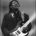 Guitar Shorty