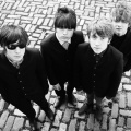 the strypes