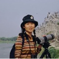 杨懿如