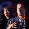 Stargo、Tango