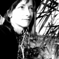 Amy Annelle