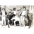 alleycats