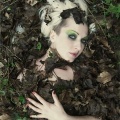 Evi Vine