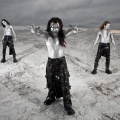 Oblivion Machine、Nookie