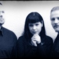 Engelsstaub、Transponder