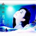 白杨