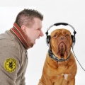 Mike Molossa、DJ Chris D