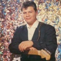 Ritchie Valens (里奇·瓦伦斯)、D.R