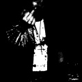 Morbus