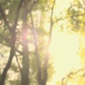 八爪鱼 - 故梦