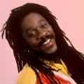 Dennis Brown、The Dominoes