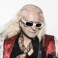 michel polnareff