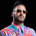 Armand Van Helden、ANOTR