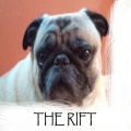The Rift