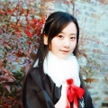 放肆芊莲、破音、夜儿 - 红敦煌