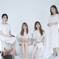 Nine Muses