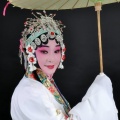 凤立沉香