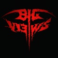 大意见乐队（BIG VIEWS)