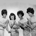 the marvelettes