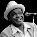 Willie Dixon、Essential Classics