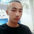 户外野战八一哥 - 流浪的子弹