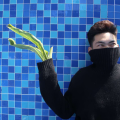 林羔