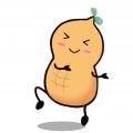 PeanutX