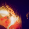 七七babe