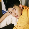 沈克、阿达娃、沈克NICKSHY