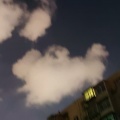 99年的老托尼 - 算了吧